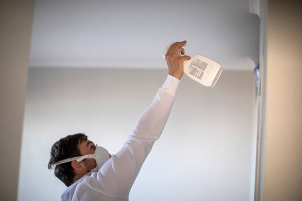 Best Same-Day Mold Removal  in Stamford, CT