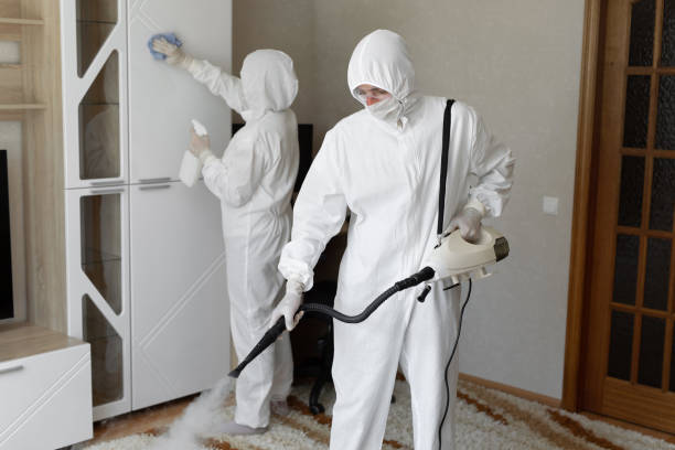Professional Mold Removal in Stamford, CT